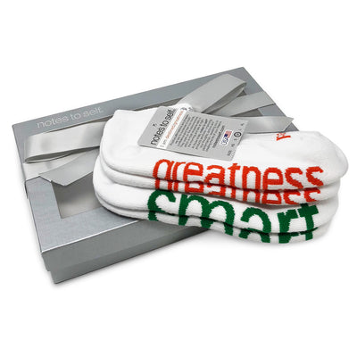 sock gift set i am destined greatness socks i am smart socks in silver gift box